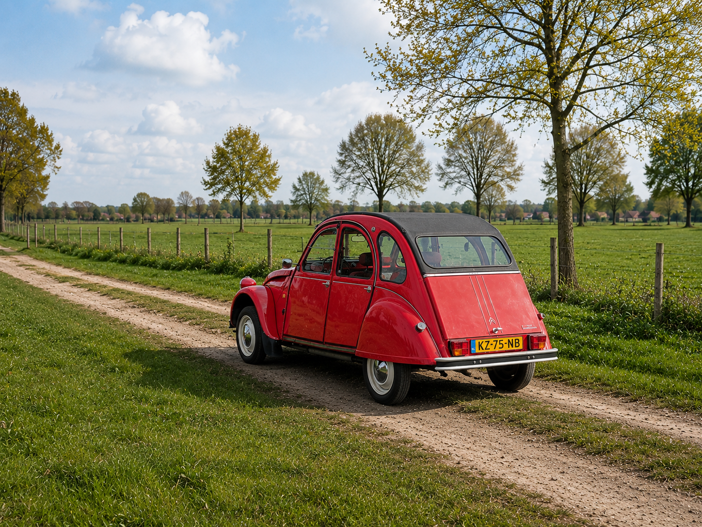 Dagtocht door Friesland in een eend