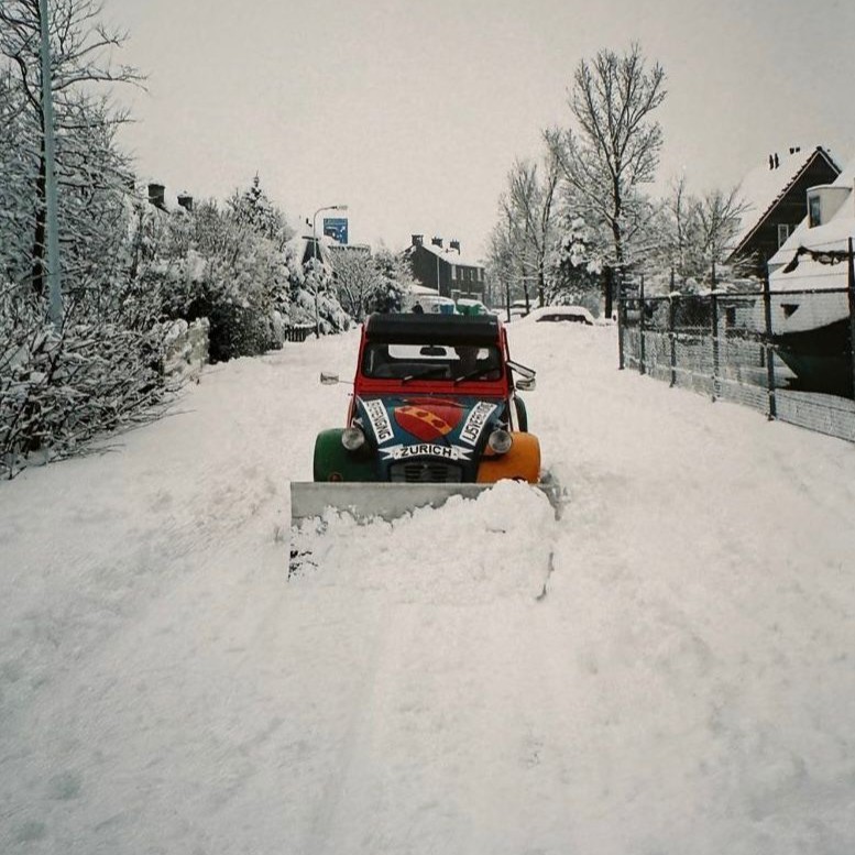 Johannes de Elfstedentocht eend