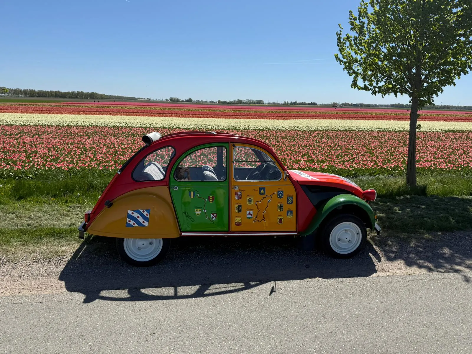 Johannes, the Eleven Cities Tour Duck, on a Frisian country road